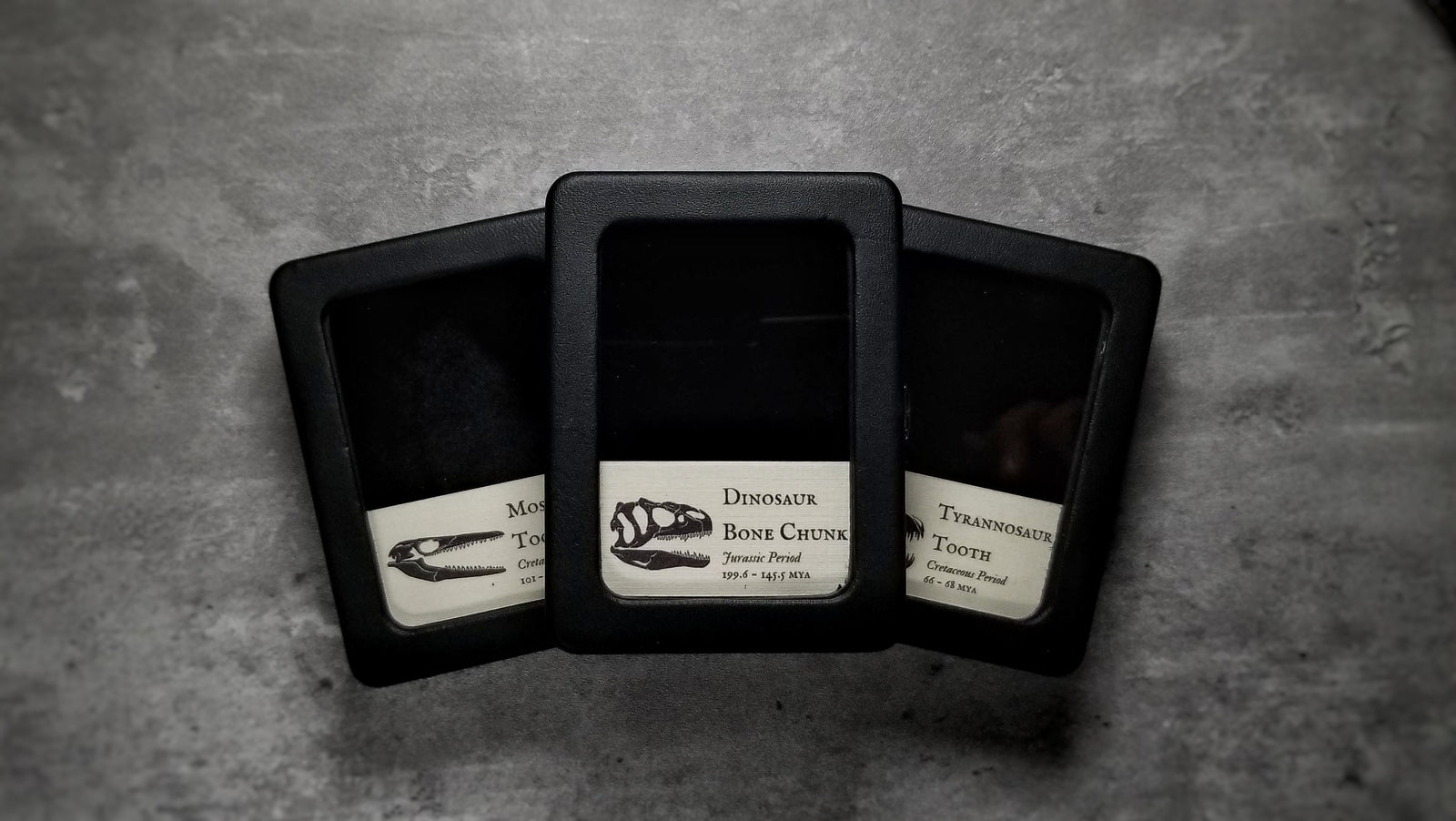 Display Stands & Boxes