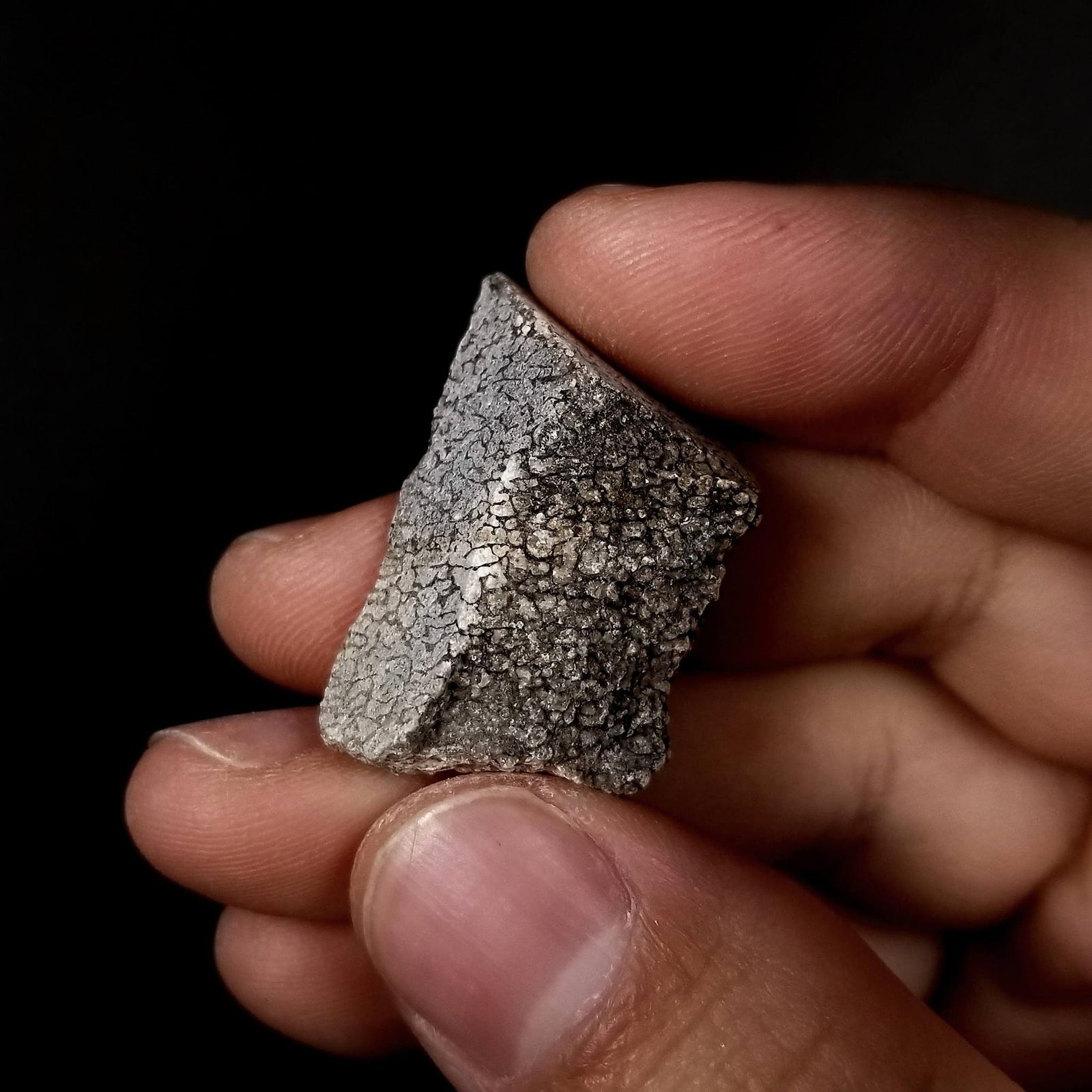 Dinosaur Bone Chunk (loose) - Jurassic Period - 199.6 to 145 MYA - Utah, USA