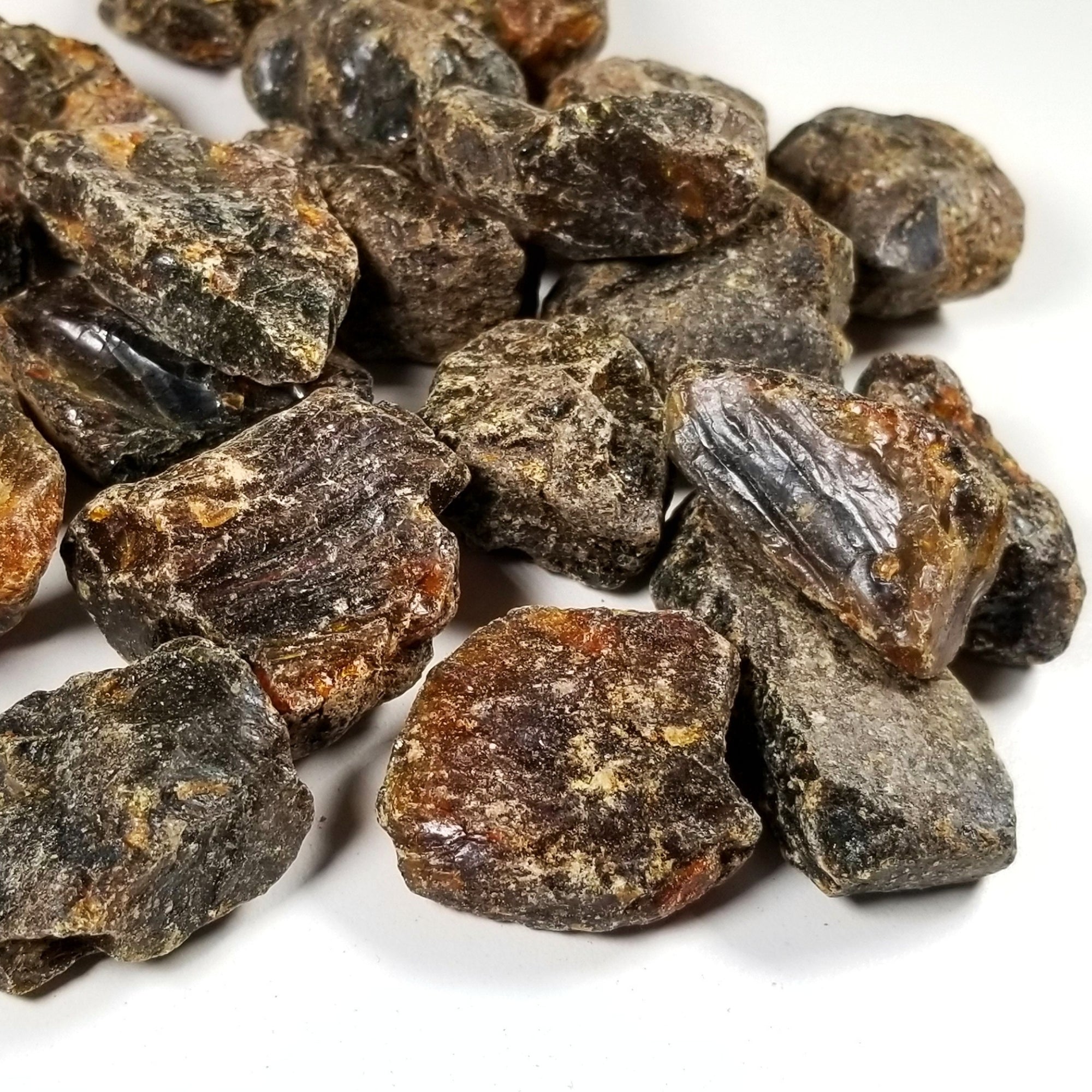 Raw Indonesian Amber (loose) - Miocene Epoch - 20 MYA - Indonesia