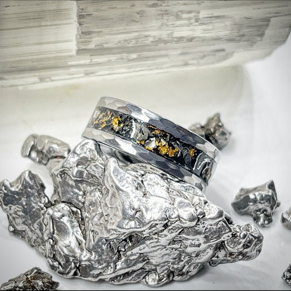 Stellar Gold — Meteorite Ring - Fossil Hoard