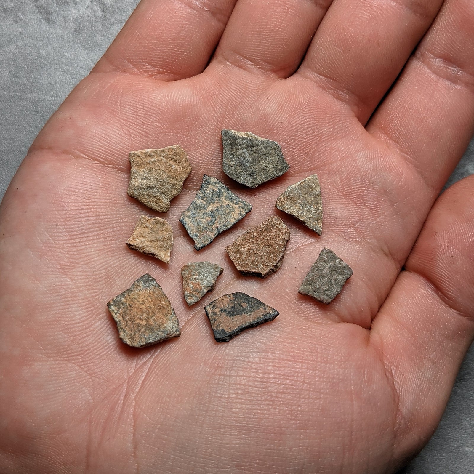 Gastornis Egg Shell Fragment - Paleocene to Eocene Epoch - 56 to 45 MYA - Salernes, France