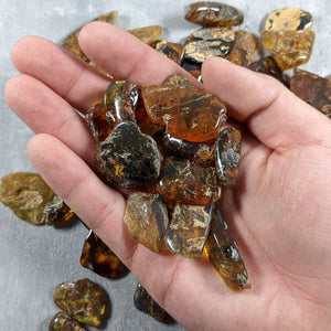 Dominican Amber -  Miocene Epoch - 15 to 20  MYA - Dominican Republic
