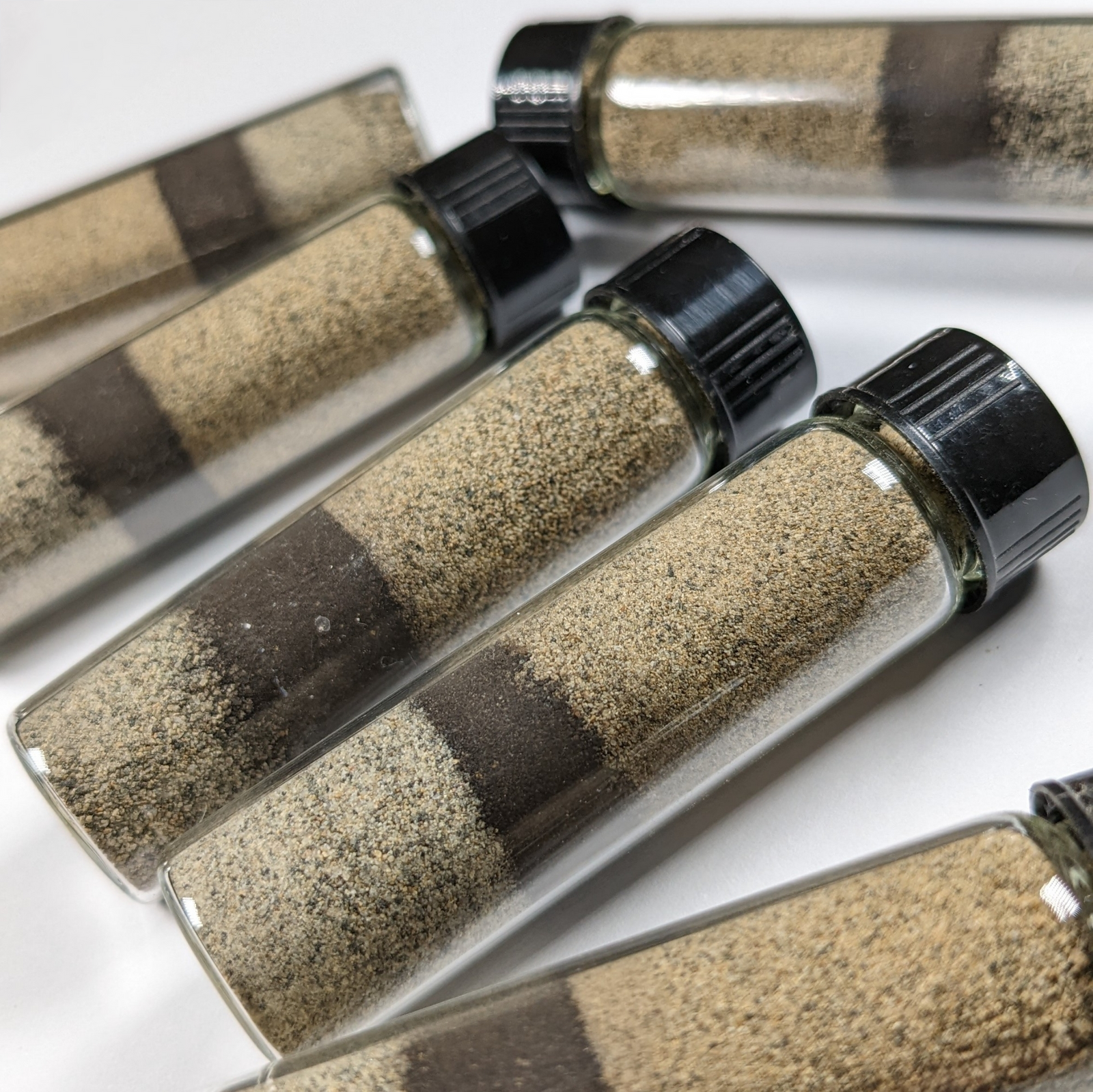 Dinosaur Extinction Layer (KT Boundary) - Cretaceous Period - 66 MYA - North Dakota, USA