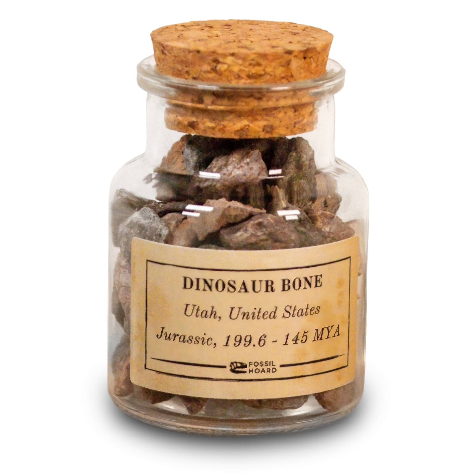 Utah Dinosaur Bone Chunk Jar (300 grams) - Jurassic Period - 199.6 to 145 MYA - Utah, USA