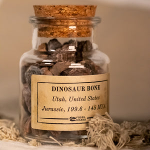 Utah Dinosaur Bone Chunk Jar (300 grams) - Jurassic Period - 199.6 to 145 MYA - Utah, USA