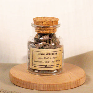 Utah Dinosaur Bone Chunk Jar (300 grams) - Jurassic Period - 199.6 to 145 MYA - Utah, USA