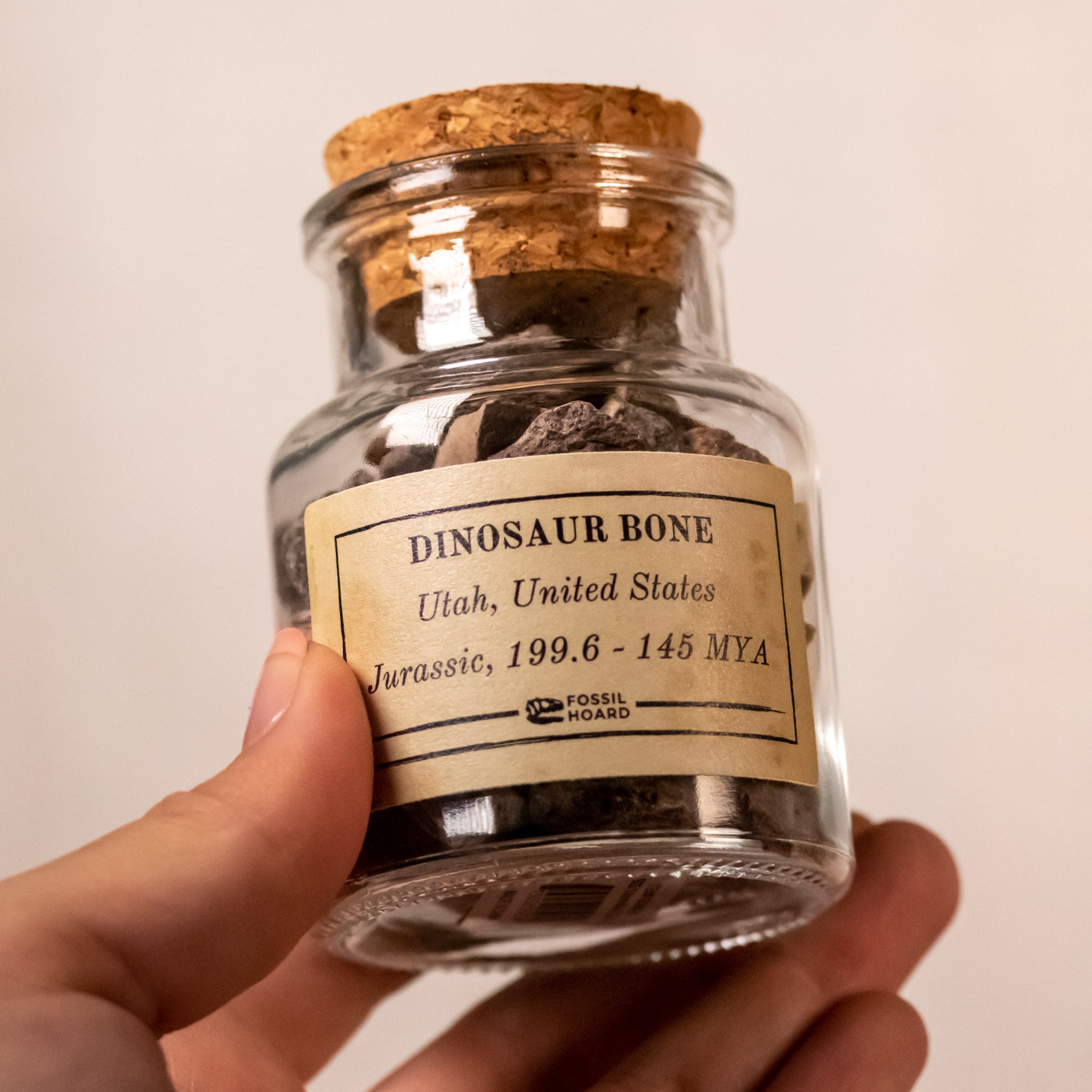 Ut Jar Utah Dinosaur Bone Chunk Jar (300 grams) - Jurassic Period - 199.6 to ...
