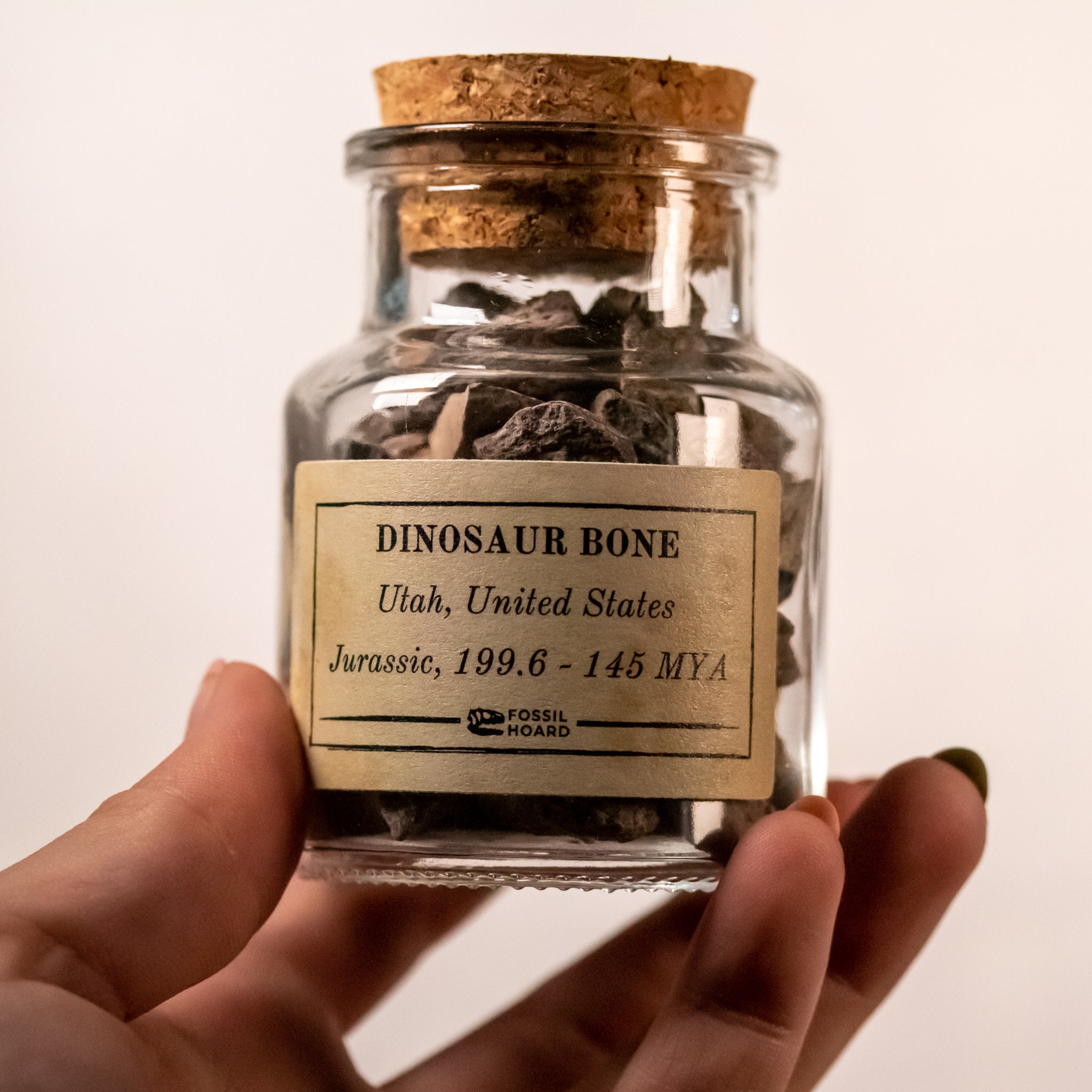 Ut Jar Utah Dinosaur Bone Chunk Jar (300 grams) - Jurassic Period - 199.6 to ...